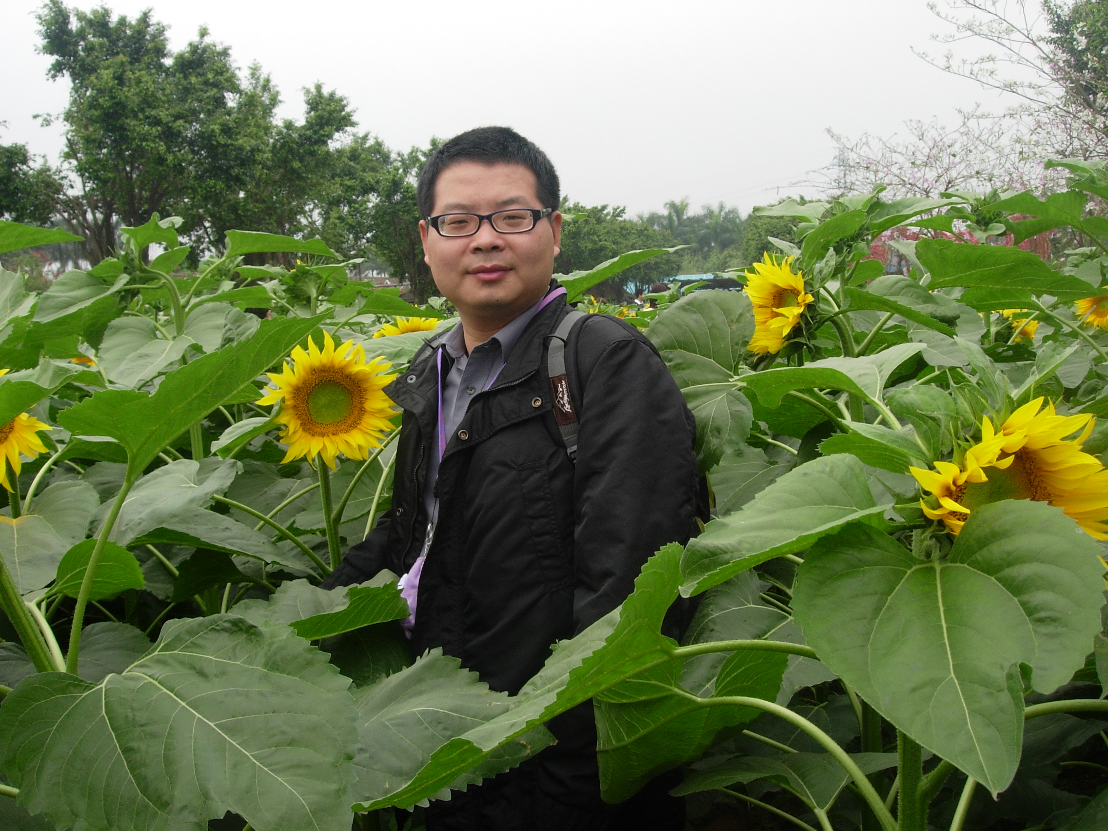 9428cn太阳集团古天乐